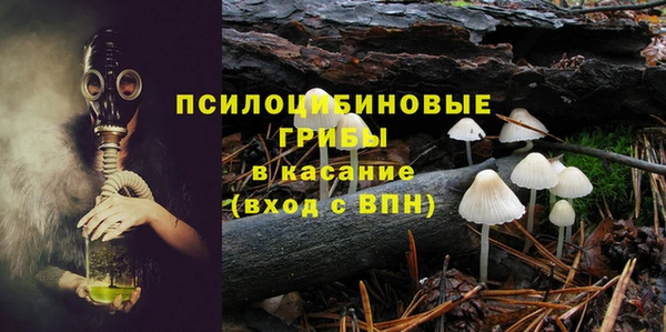 крисы Верея